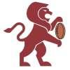 Serie B. Troppo Perugia per il Lions che esce sconfitto,  10 a 34
