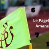 Livorno-Torres, le pagelle degli Amaranto