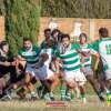 A1. Rugby Livorno corsaro sul campo del Petrarca Cadetto, 19 a 20