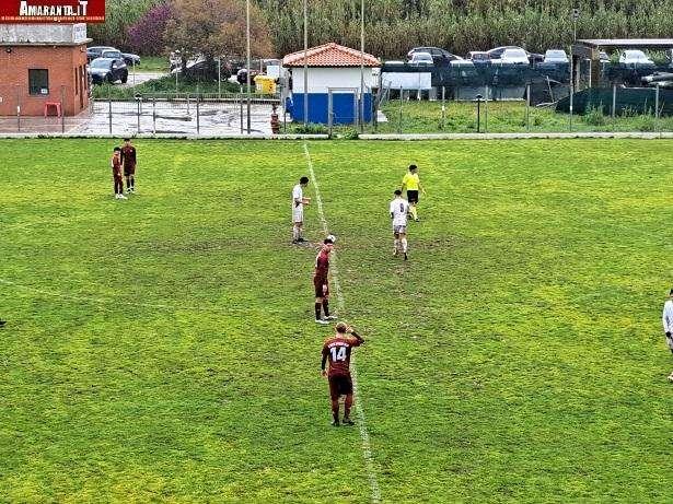 Livorno e Zenith Prato