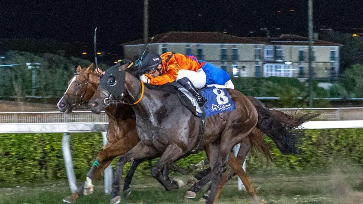Ninco Nanco vince il Premio Li