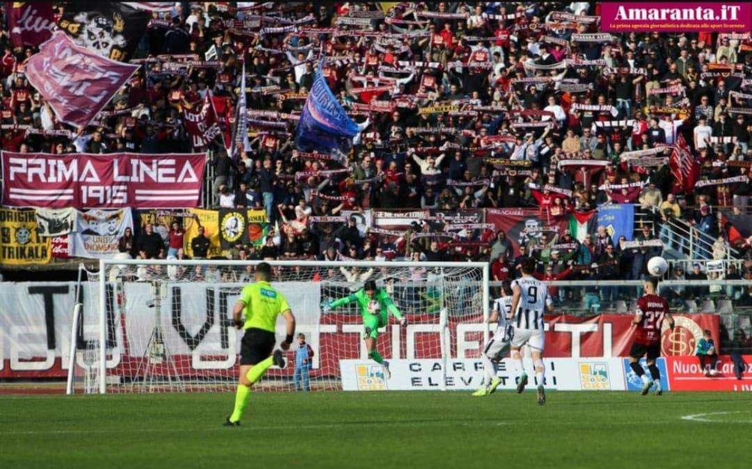 Cardelli in azione al Picchi