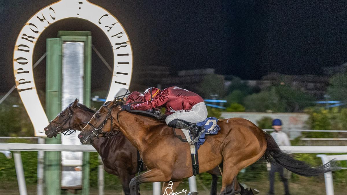 Ippica. Venerdi 14 agosto al Caprilli la notte dell'86esima Coppa del Mare
