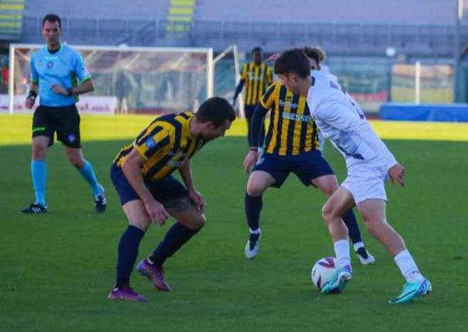 Nardi in azione