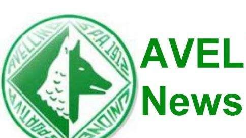 Il Livorno interessato a due giocatori dell'Avellino