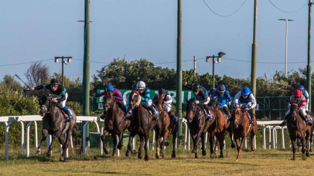 Cavalli all'arrivo al Caprilli