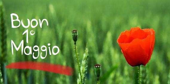 Un buon Primo maggio ai lettori di Amaranta.it