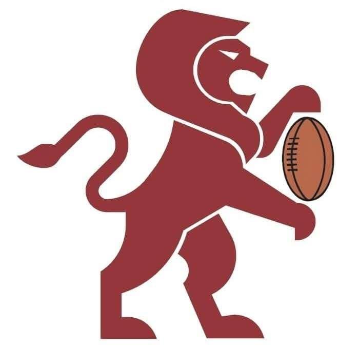 Lions rugby 