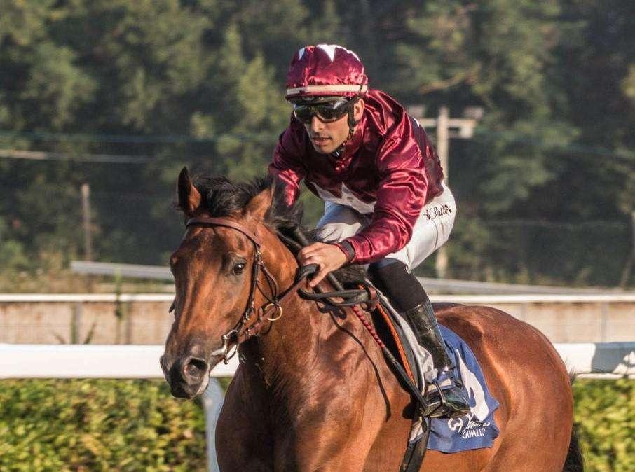 Un cavallo dell'Alma Racing