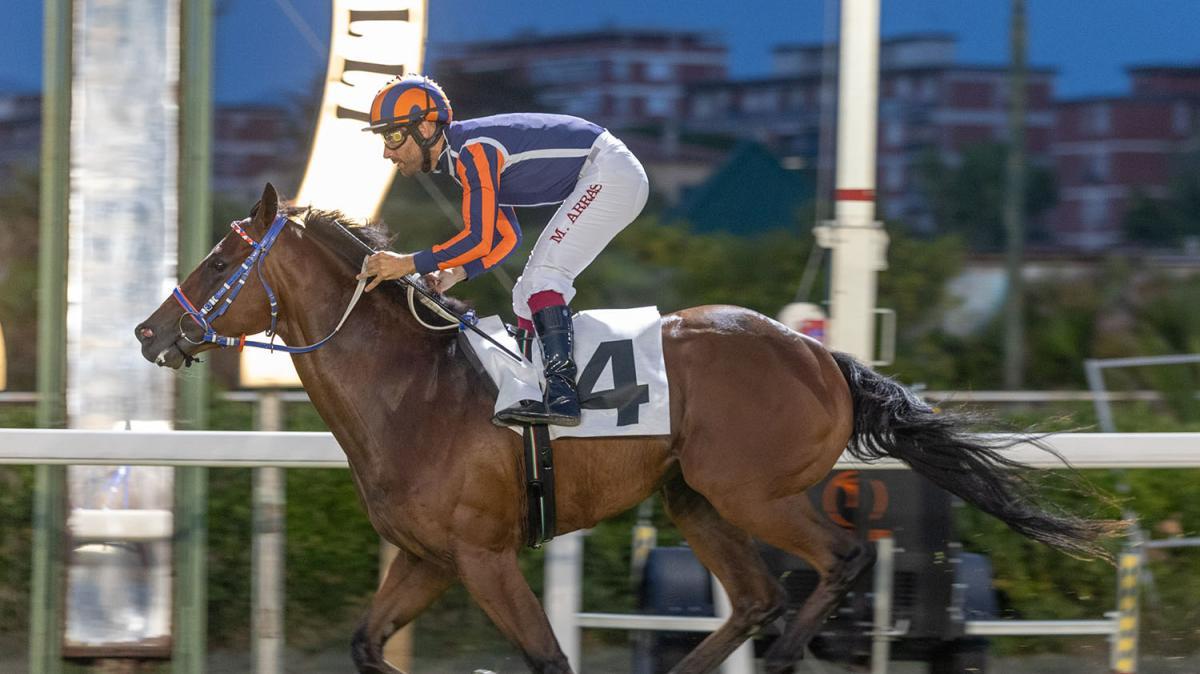Tesseron al Caprilli