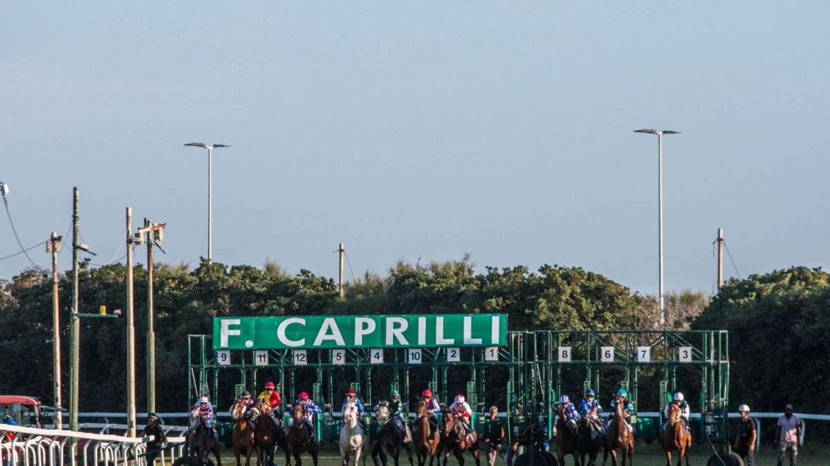 Cavalli in partenza