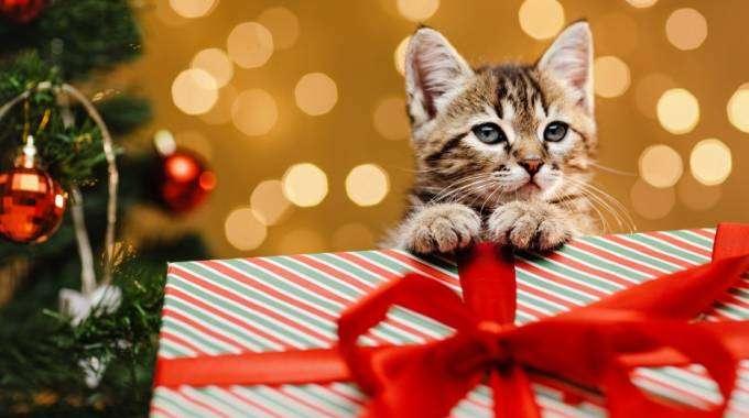 Buon Natale e felice anno nuovo ai lettori e agli amici di Amaranta