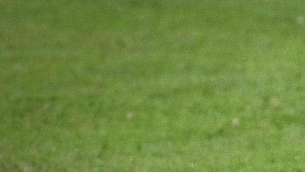Berretti. Il Livorno supera il Tuttocuoio ed annusa la vetta, 3 a 2
