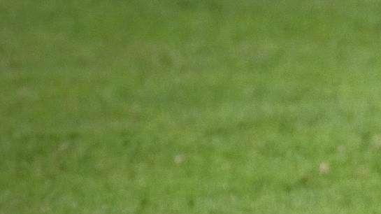 Promozione. Cecina e Pro Livorno vogliono allungare