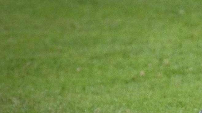 Prima categoria. Stop per tutte le livornesi, Rosignano cenerentola
