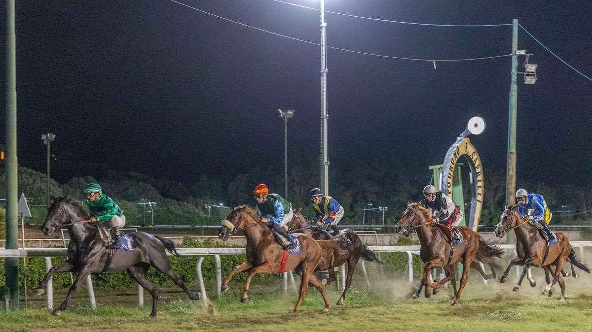 Ippica.  Ottava giornata al Caprilli dedicata ai personaggi ippici