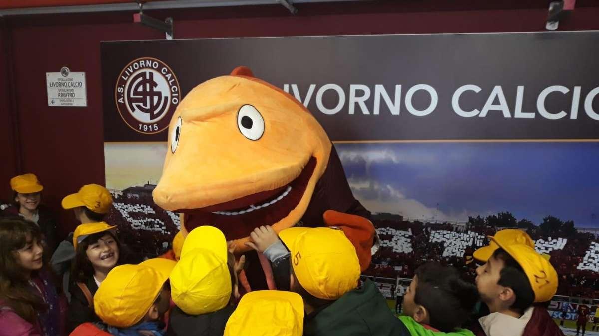 Livorno-Cittadella, pre-gara con molte iniziative all'Ardenza