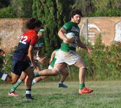 Dario Basha