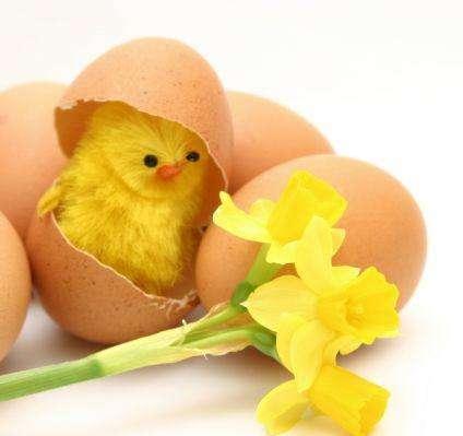 Buona Pasqua ai nostri lettori e agli amanti dello sport