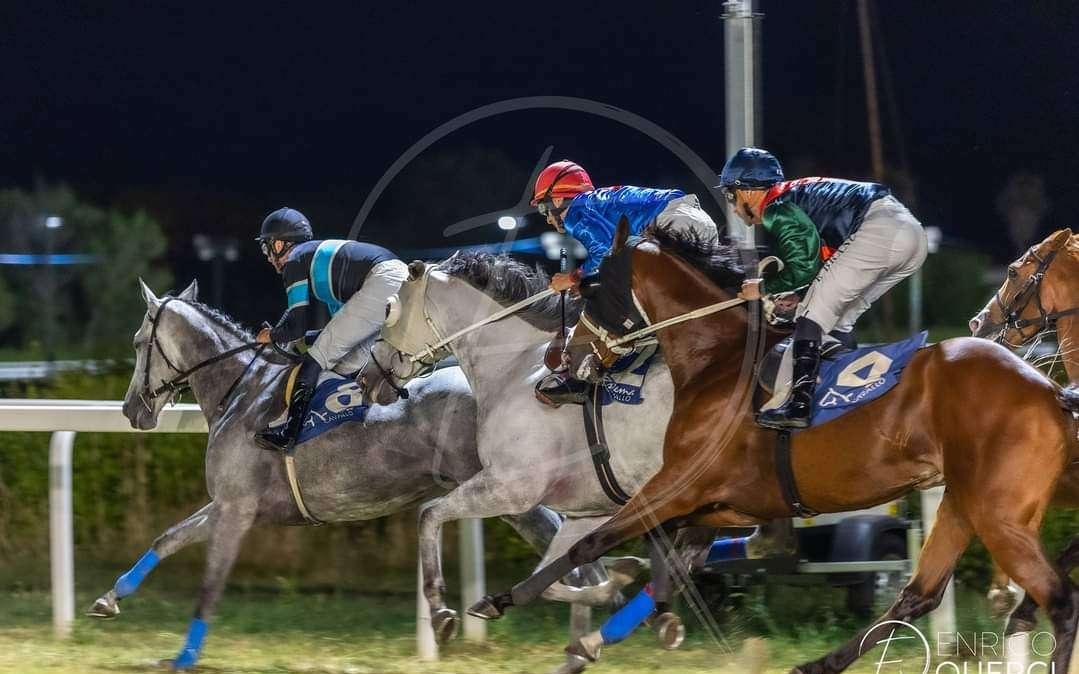 Cavalli in corsa al Caprilli