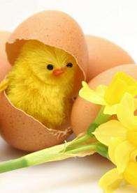 Buona Pasqua agli amici di Amaranta.it