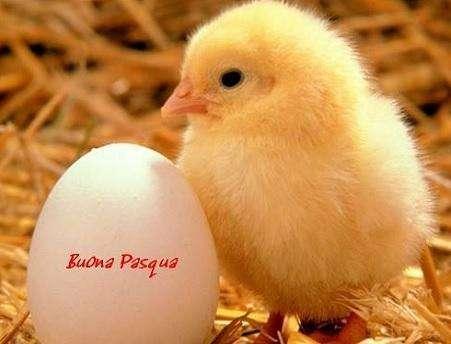 Buona Pasqua ai lettori e agli amici di Amaranta.it
