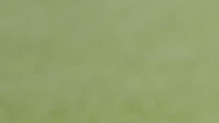 Promozione. Trasferta difficile per il Venturina, turno interno per il Picchi