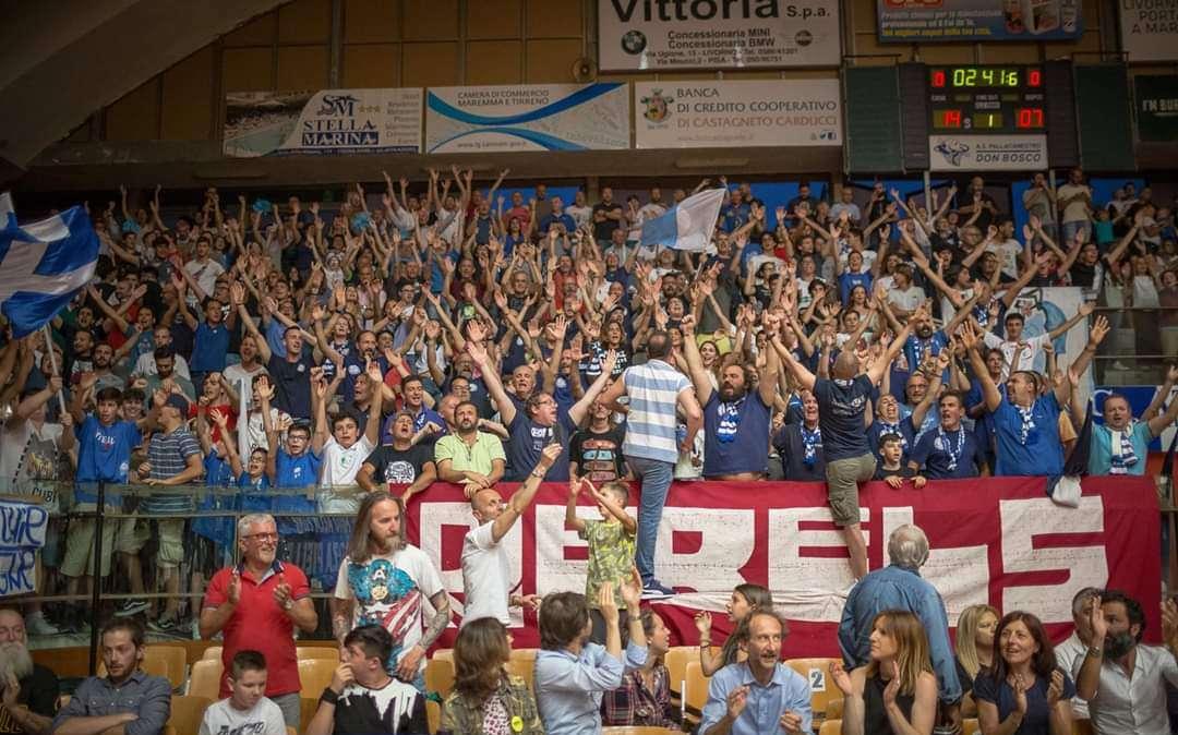 C Gold. Nel cielo biancoblu della Pielle vola Falco..ni!