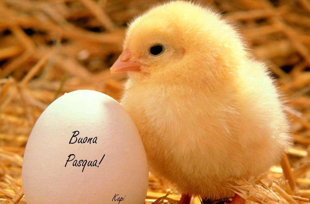 Buona Pasqua ai nostri lettori ed a chi ama lo sport