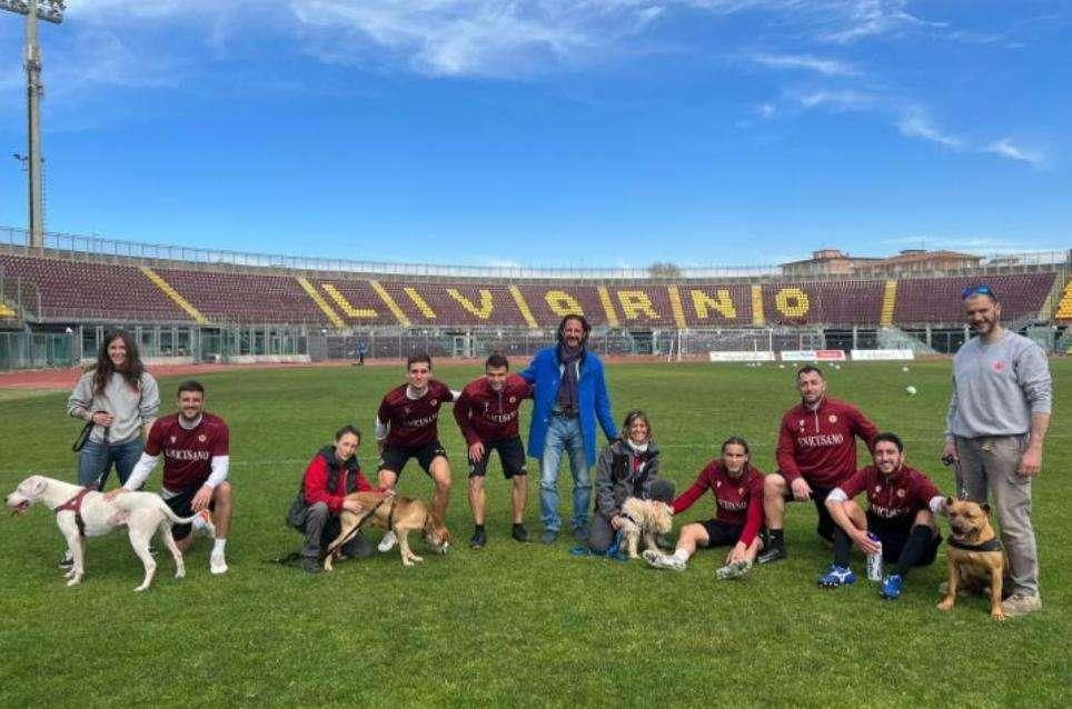 Iniziativa tra Comune e Livorno in favore degli amici a quattro zampe