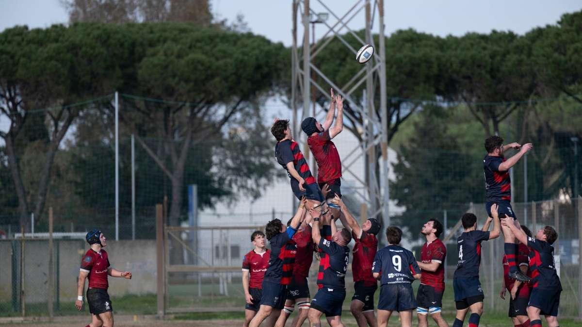 I Lions in una foto d'archivio