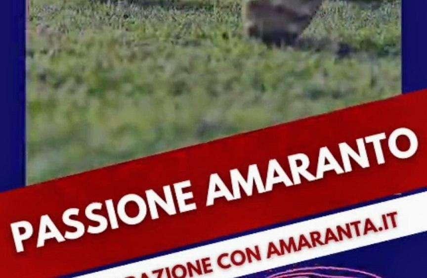 La trasmissione