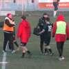 A TUTTO CAMPO FVG - LE SINTESI