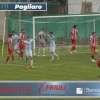 PRO GORIZIA - Vittoria casalinga sul Codroipo per continuare a sperare