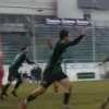  A TUTTO CAMPO FVG - LE SINTESI