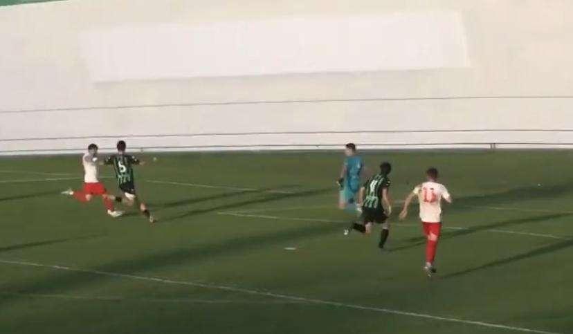 A TUTTO CAMPO FVG - LE SINTESI