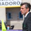 Domizzi studia i canarini