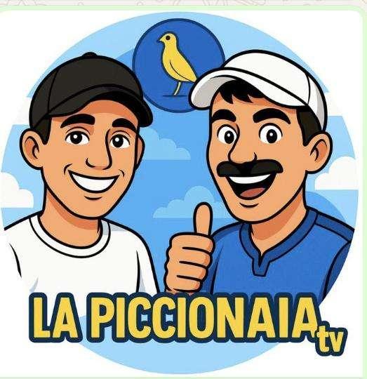 Il successo di La piccionaia TV