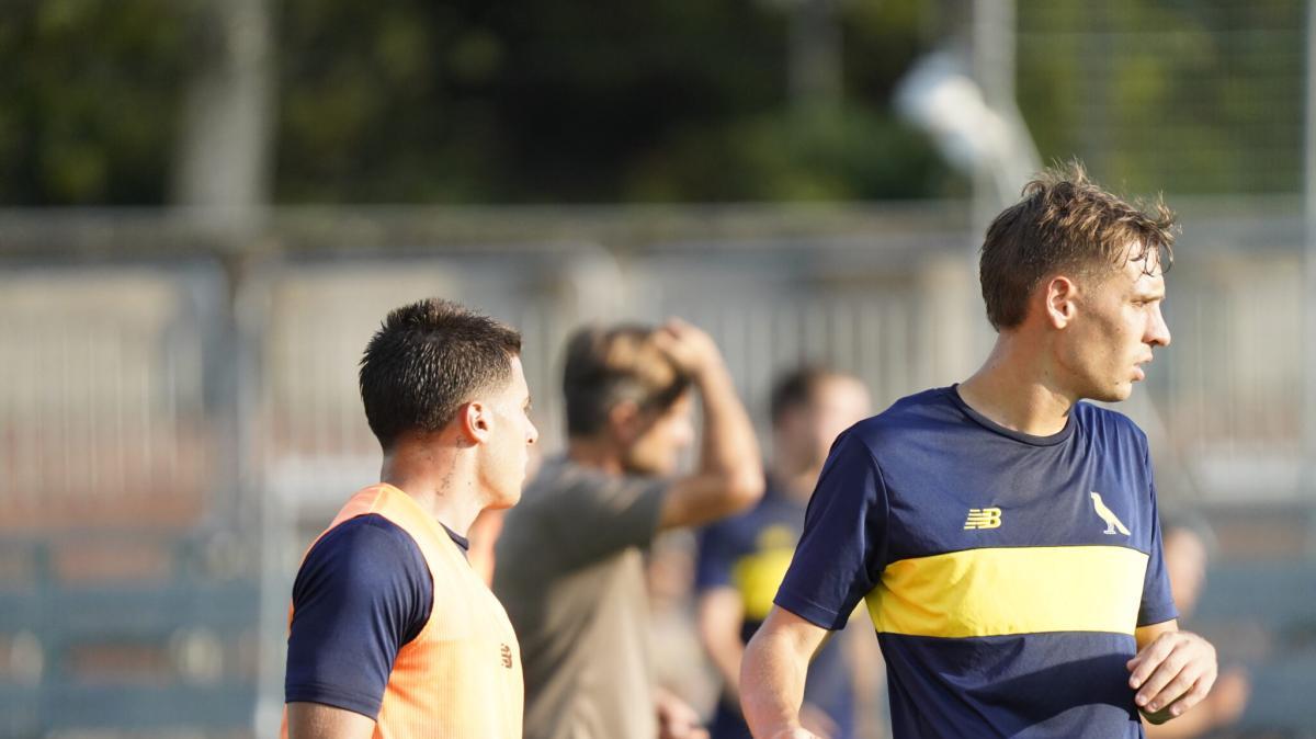 Modena-Avellino: i 24  canarini convocati
