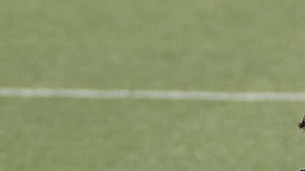 Informe del entrenamiento: sesión exigente en Valdebebas con la presencia de Güler