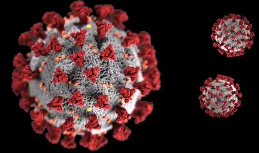 Coronavirus, un futurible blanco no se entrena por miedo a la enfermedad