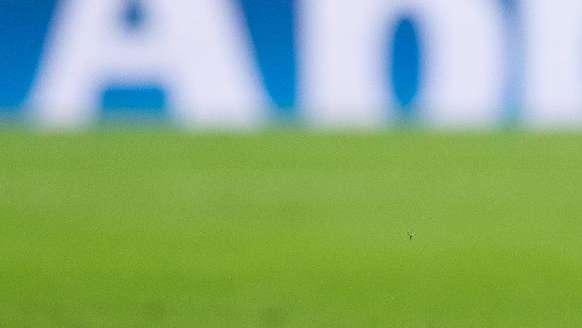Las fechas más importantes de la temporada 2022/23: el Mundial, el inicio y el final de LaLiga...