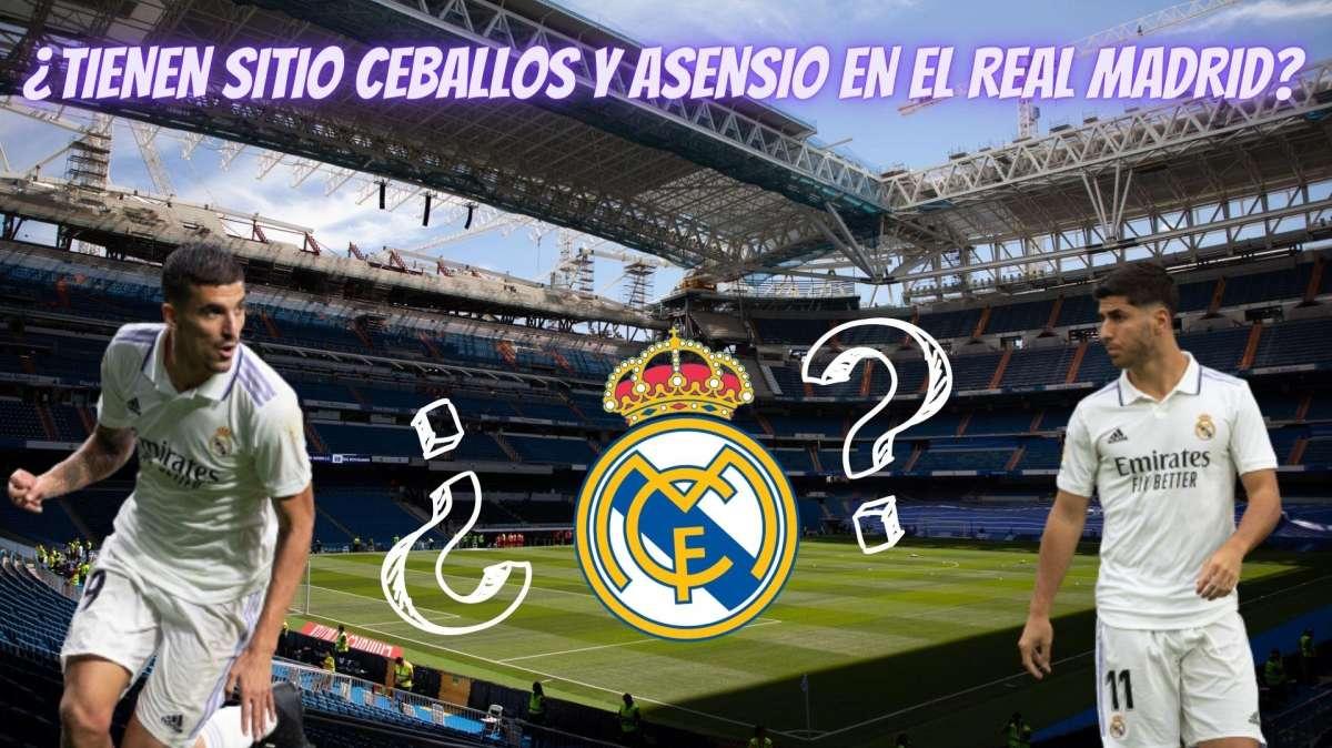 VÍDEO BD | Ceballos y Marco Asensio, ¿renovación a la vista? ¿Hay novedades?
