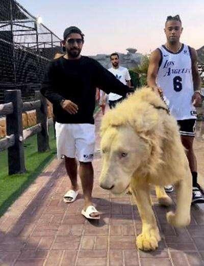 VÍDEO | Mariano apura sus vacaciones... ¡paseando a un león!