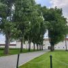 Immagine news Altre notizie n.1