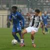 Immagine news Juventus Next Gen n.2
