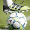 Immagine news Altre notizie n.4