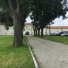 Immagine news Altre notizie n.1