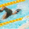 Immagine news Altre notizie n.1