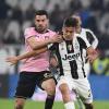 Immagine news Altre notizie n.2